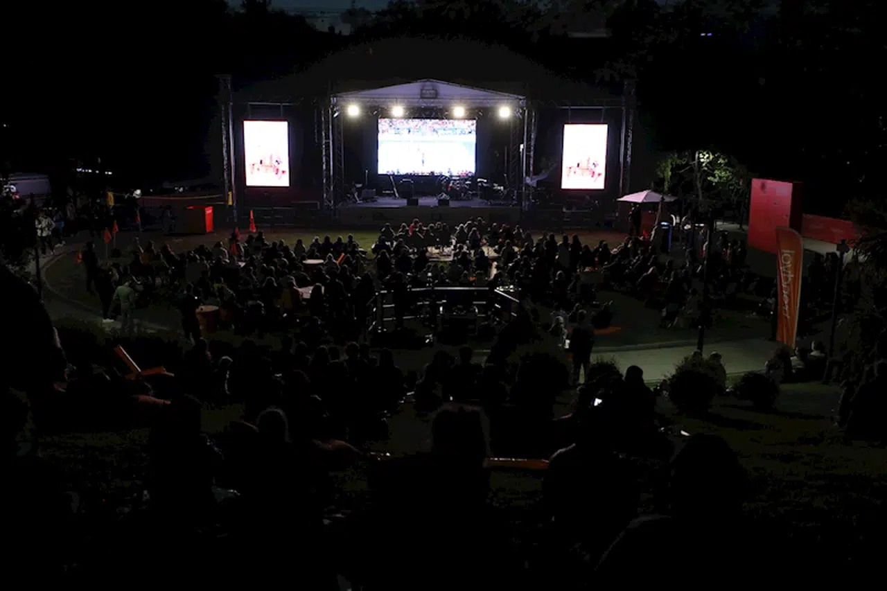 Milli heyecan parklara taşındı