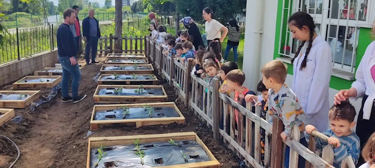 Terme'de minikler fide dikti