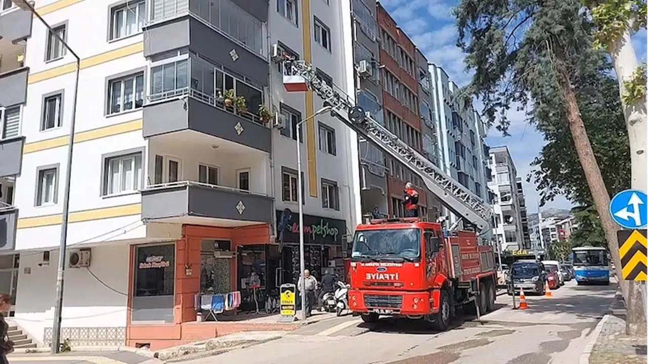 Amasya'da yuvadan düşen yavru serçenin imdadına itfaiye yetişti