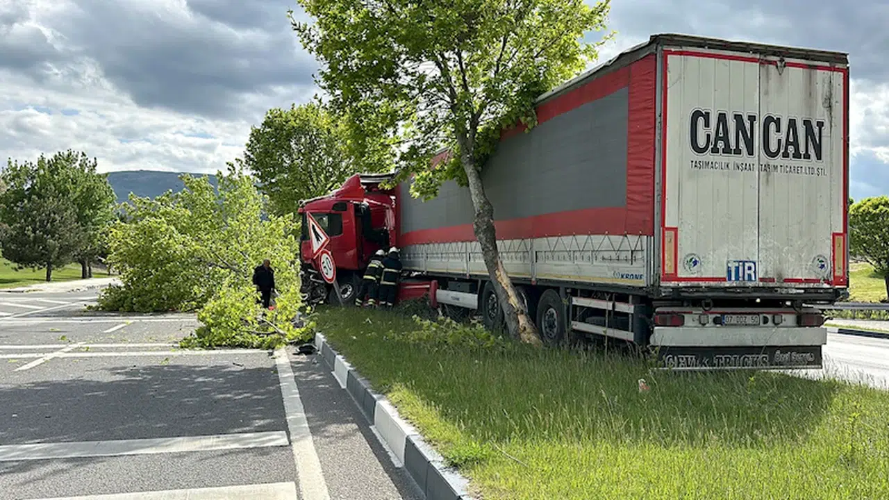 Sürücüsü direksiyon başında uyuklayan TIR, ağaca çarparak durabildi