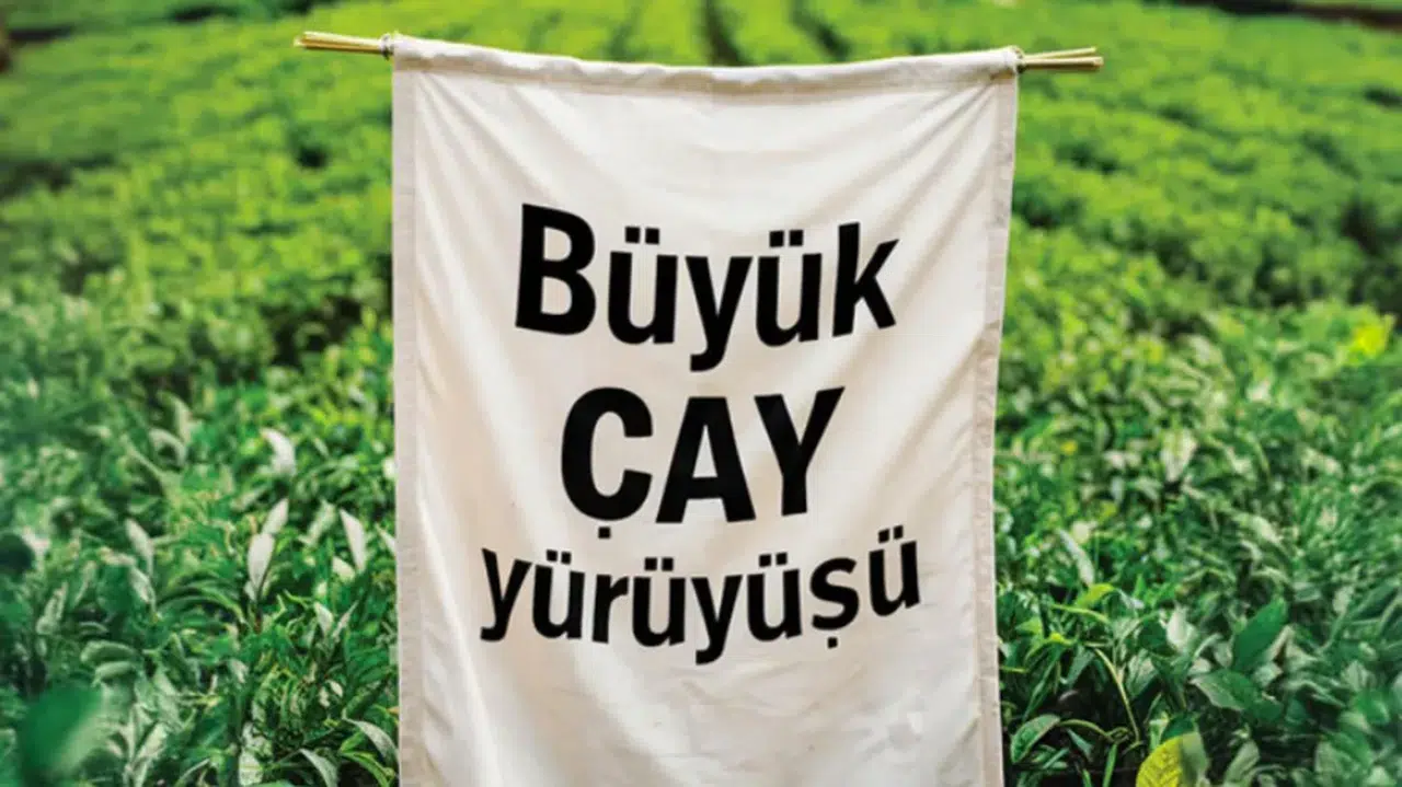 Rize'de Çay Üreticileri Fiyatlara Tepki Olarak Yürüyüşe Geçecek