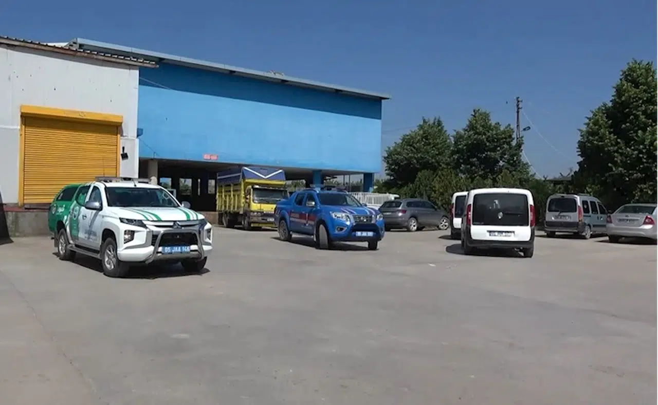 Amasya'da kesim sırasında büyükbaş hayvana eziyet eden 5 kişi gözaltına alındı