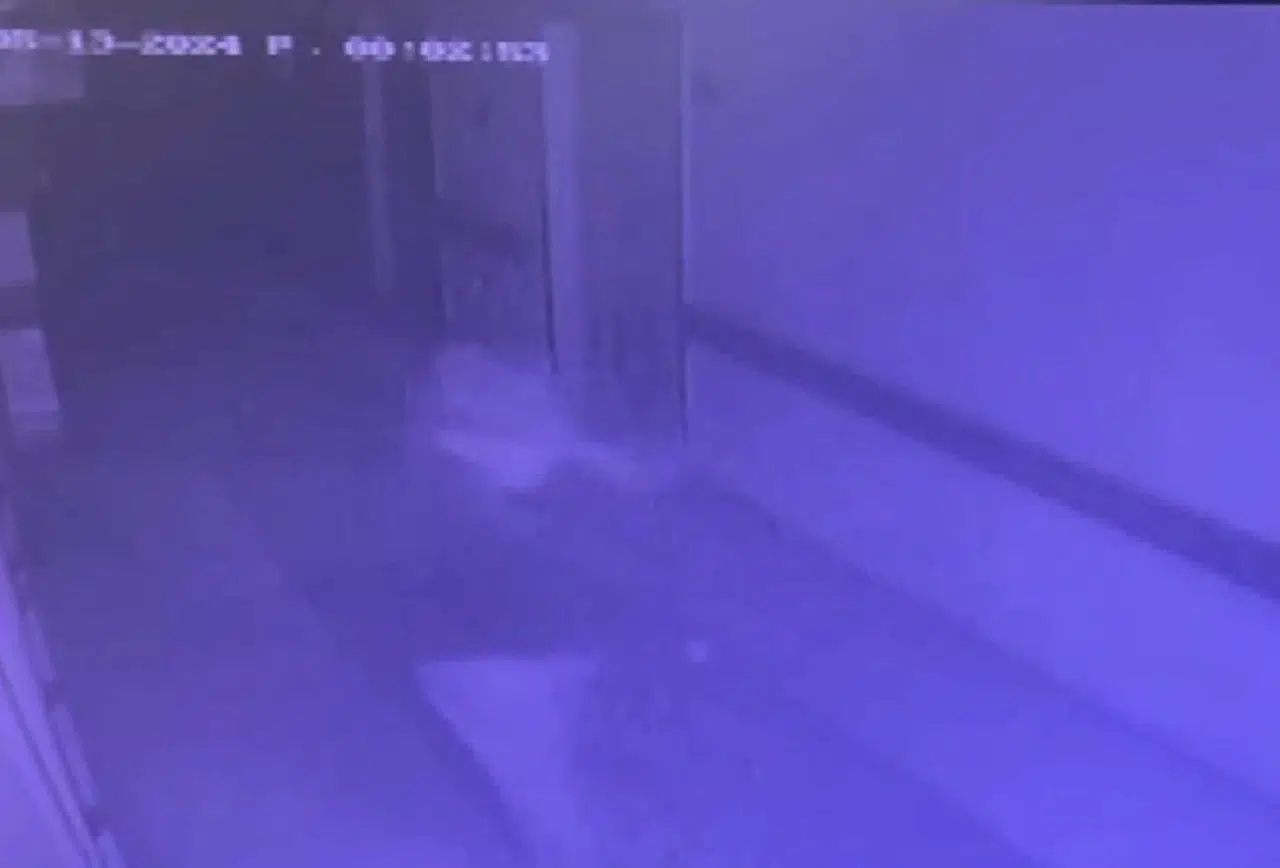 İstanbul- Beylikdüzü'nde hastane odasında ölü bulunan Selen hemşirenin son görüntüsü ortaya çıktı