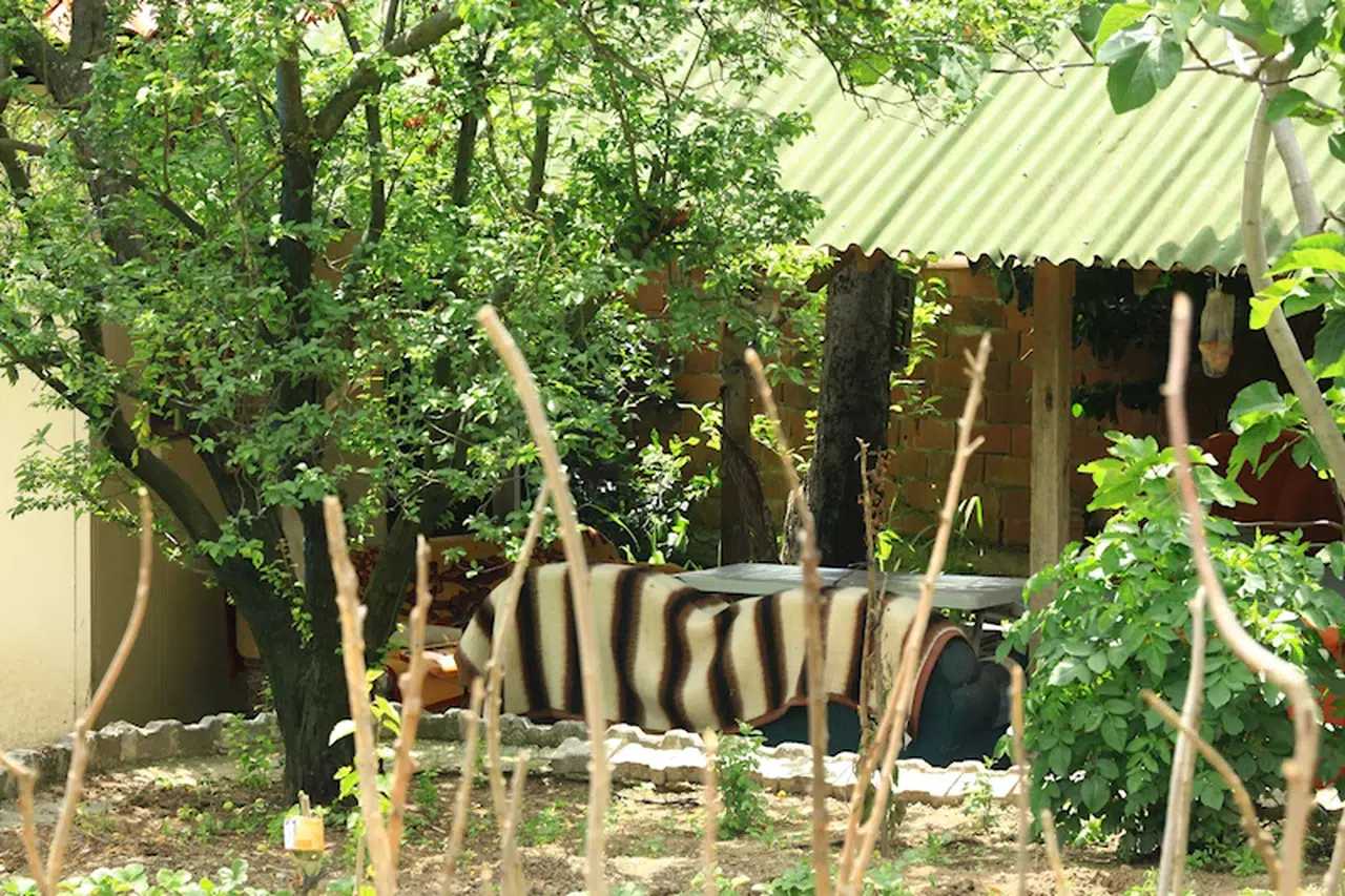 Tokat'taki patlamaya ilişkin Samsun'da yakalanan 2 şüpheli sorguda