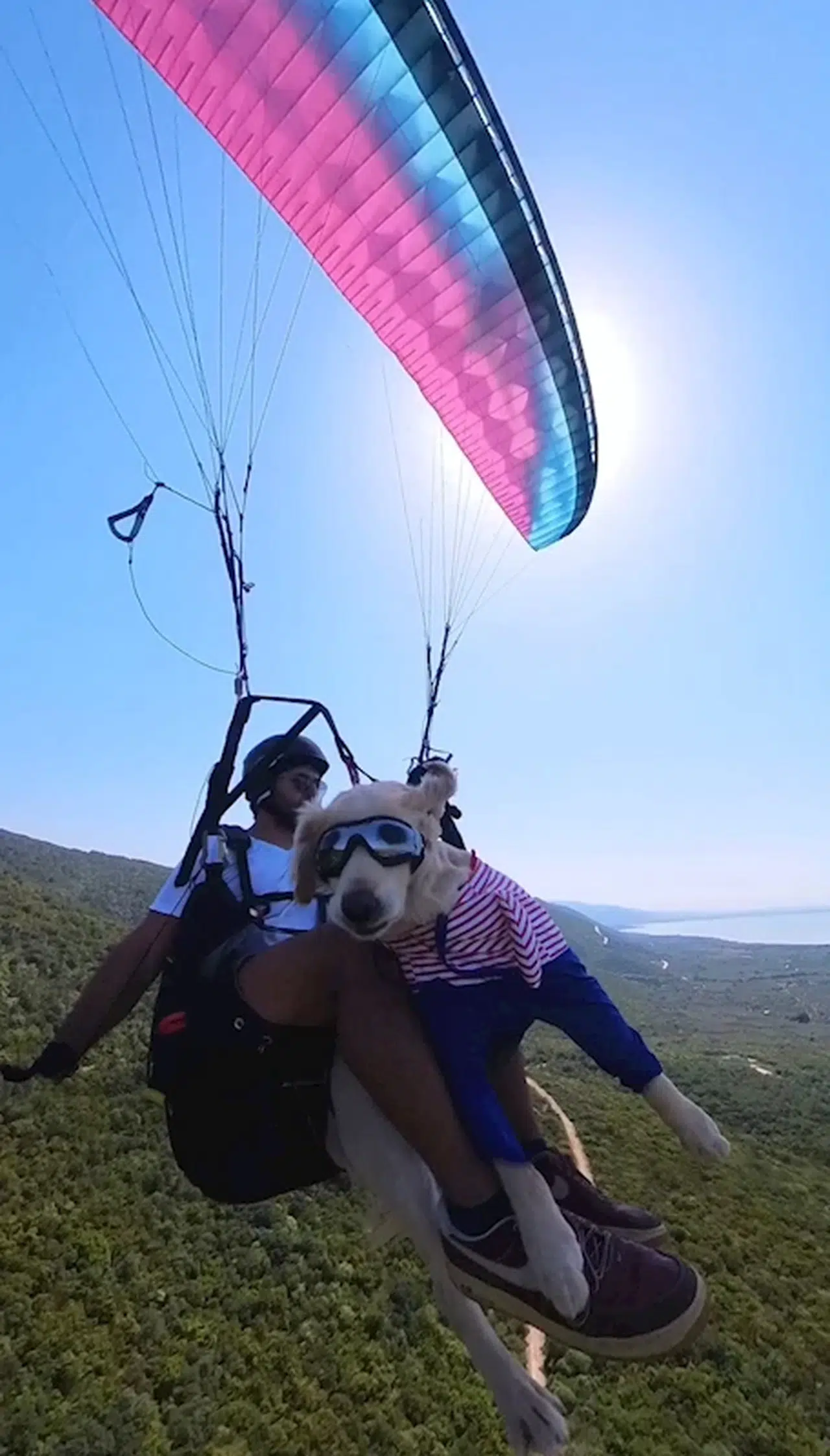 4 yıldır sahiplendiği 'Badem' adlı köpeğiyle uçuyor