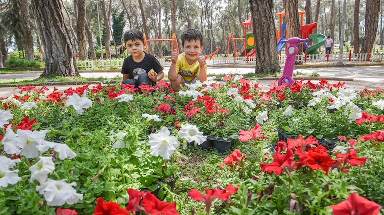 Kepez'e sevgi çiçekleri