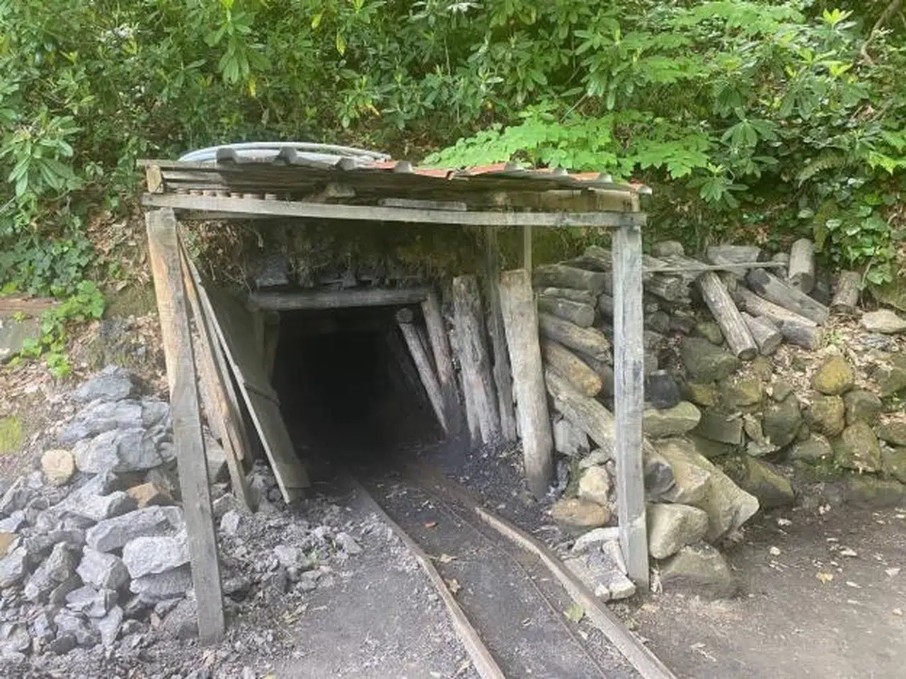 Zonguldak'ta ruhsatsız işletilen 3 maden ocağı imha edildi