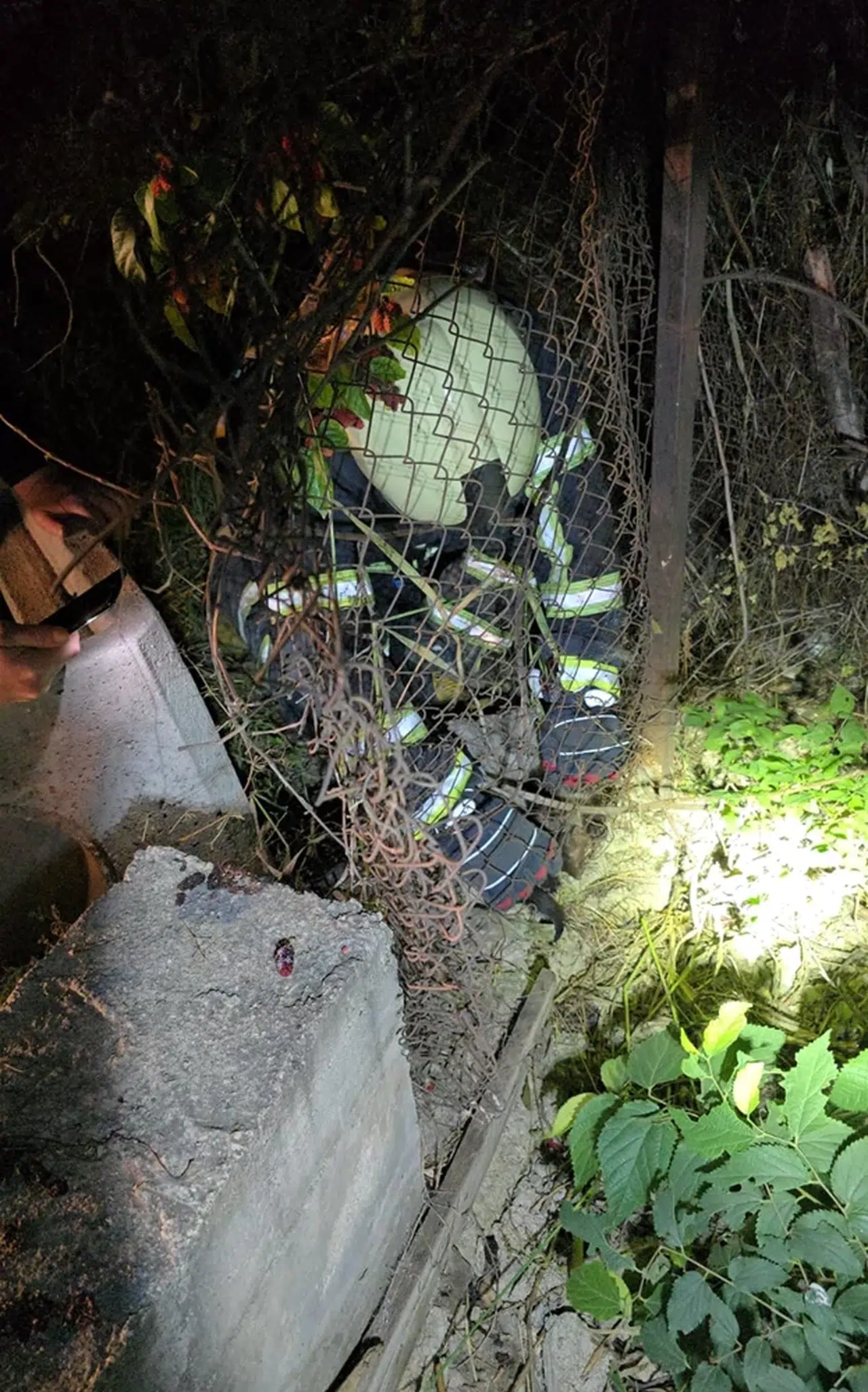 Karabük'te tel örgüye sıkışan sansar yavrusu itfaiye ekiplerince kurtarıldı