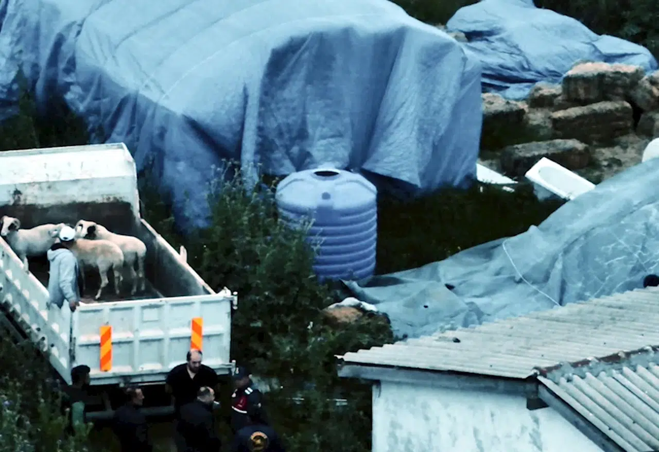 Tekirdağ’da 11 küçükbaş çalan 5 şüpheli, yakalandı