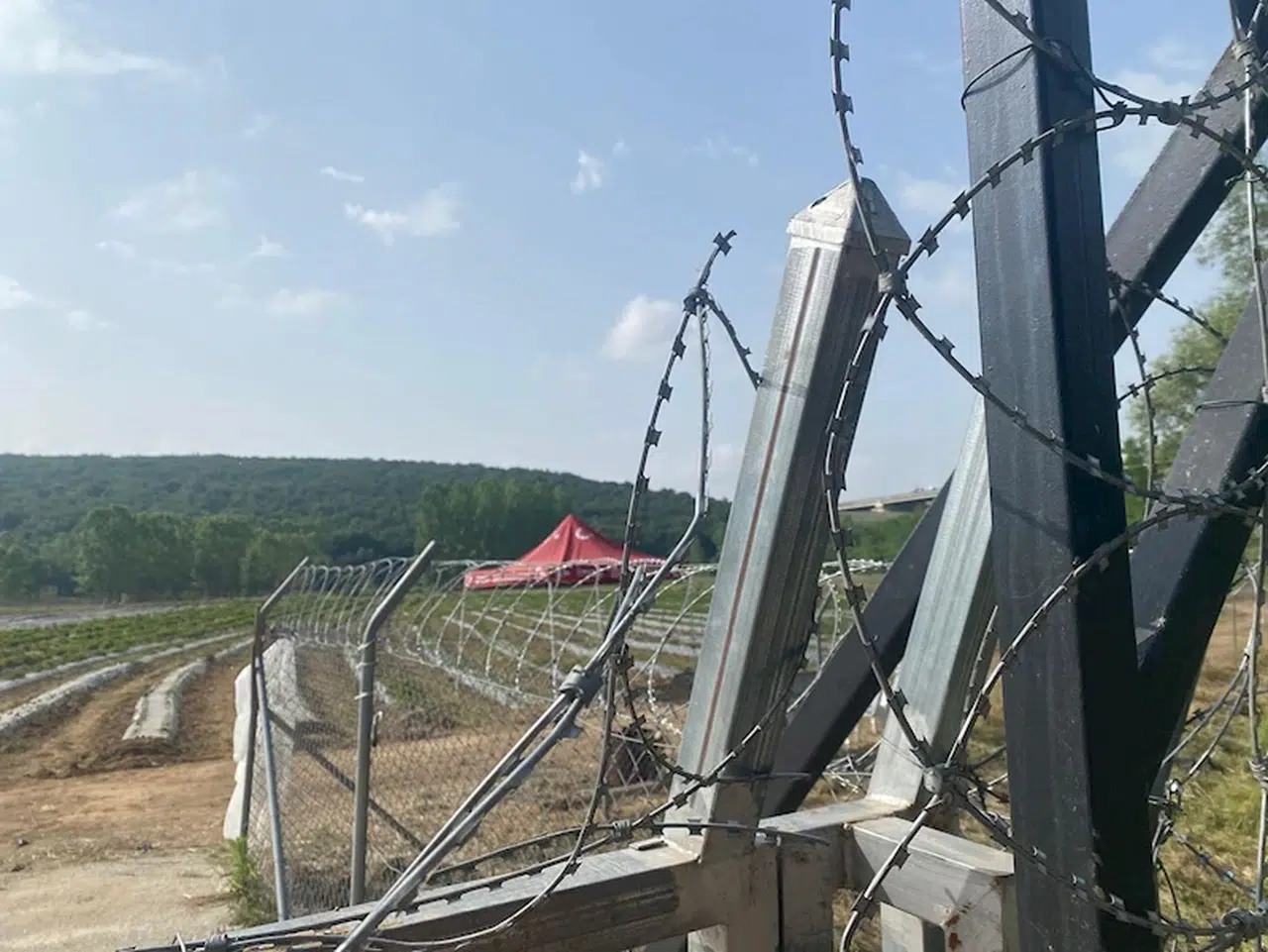 İzmit Belediyesi'nin hasadını yapıp, gelirini kız öğrencilere bağışlayacağı çilekler çalındı