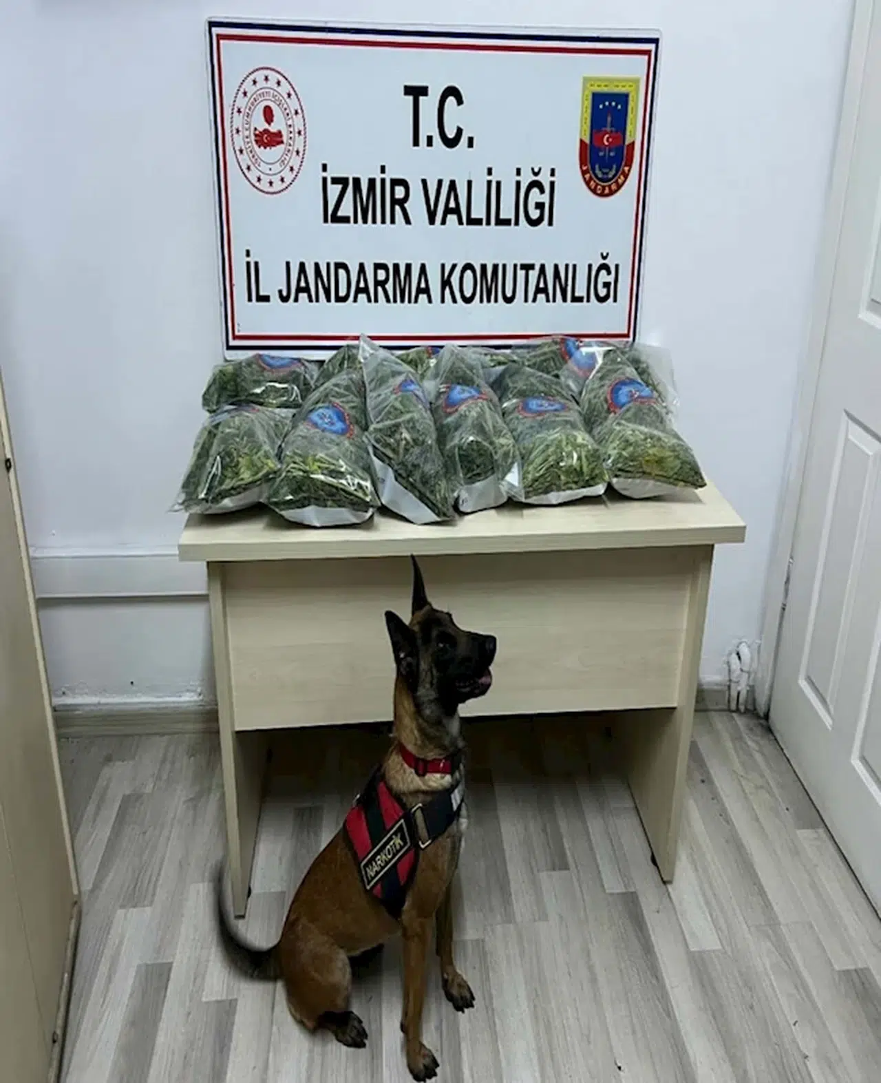 10 kilo uyuşturucuyu narkotik köpeği 'Aysar' buldu 