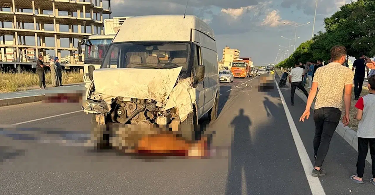 Mardin’de minibüsün çarptığı 5 inek öldü