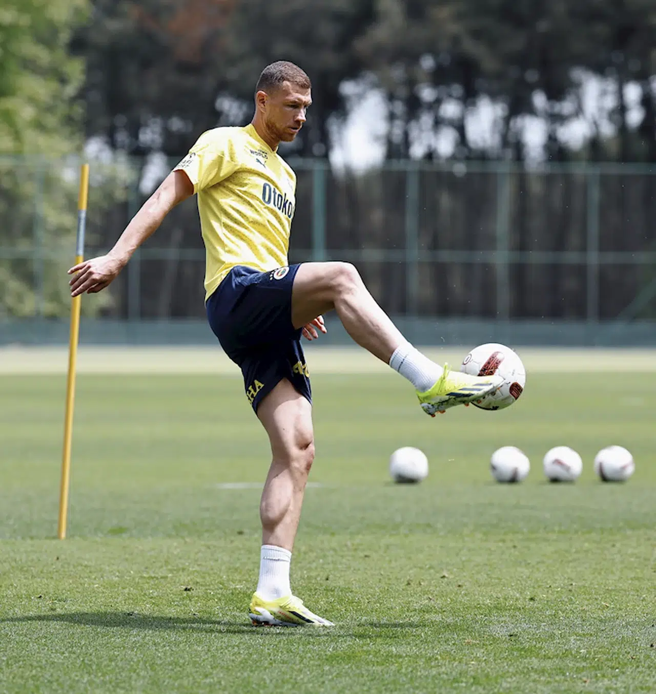 Fenerbahçe'de İstanbulspor maçı hazırlıkları devam ediyor