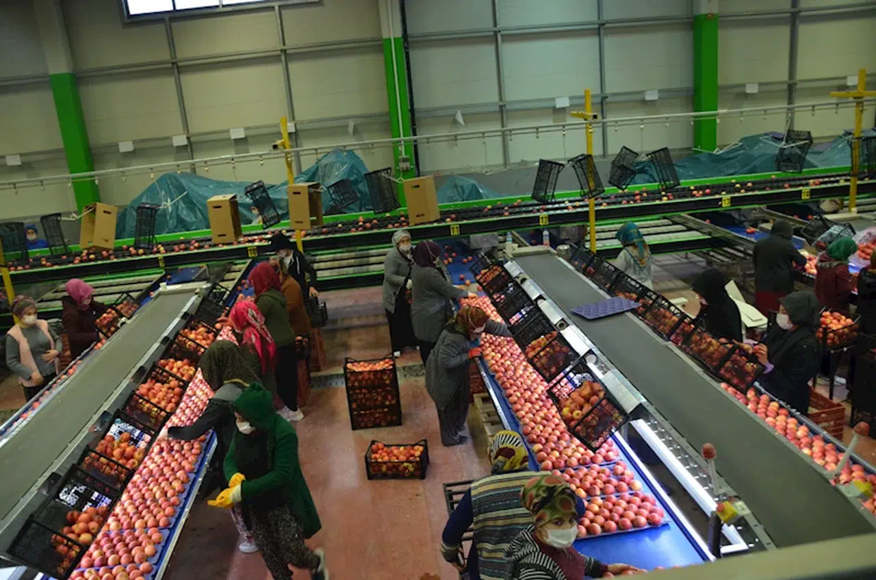 Niğde'de Kırsal Kalkınma Destekleri kapsamında 573 proje onaylandı