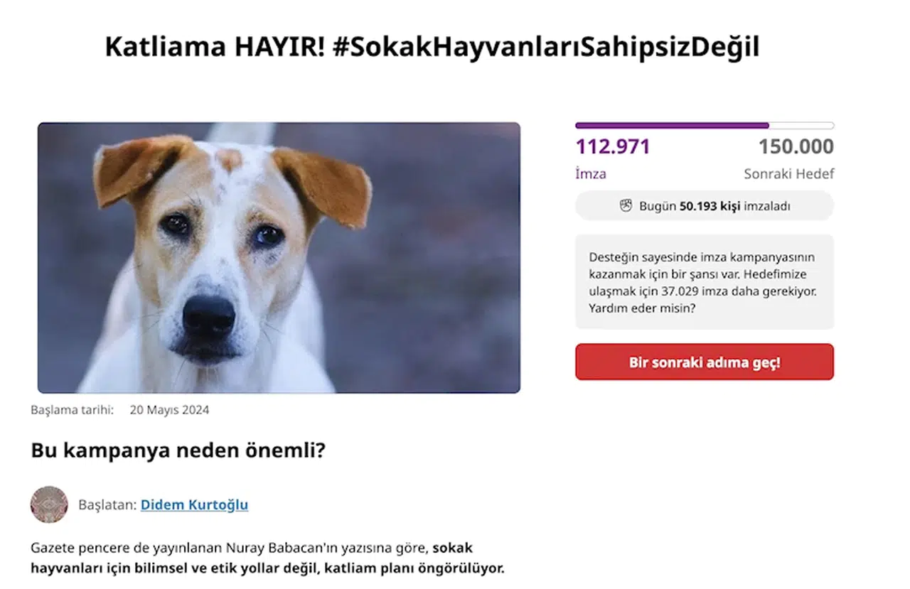 Sokak hayvanları için iki günde 100 binin üzerinde imza toplandı