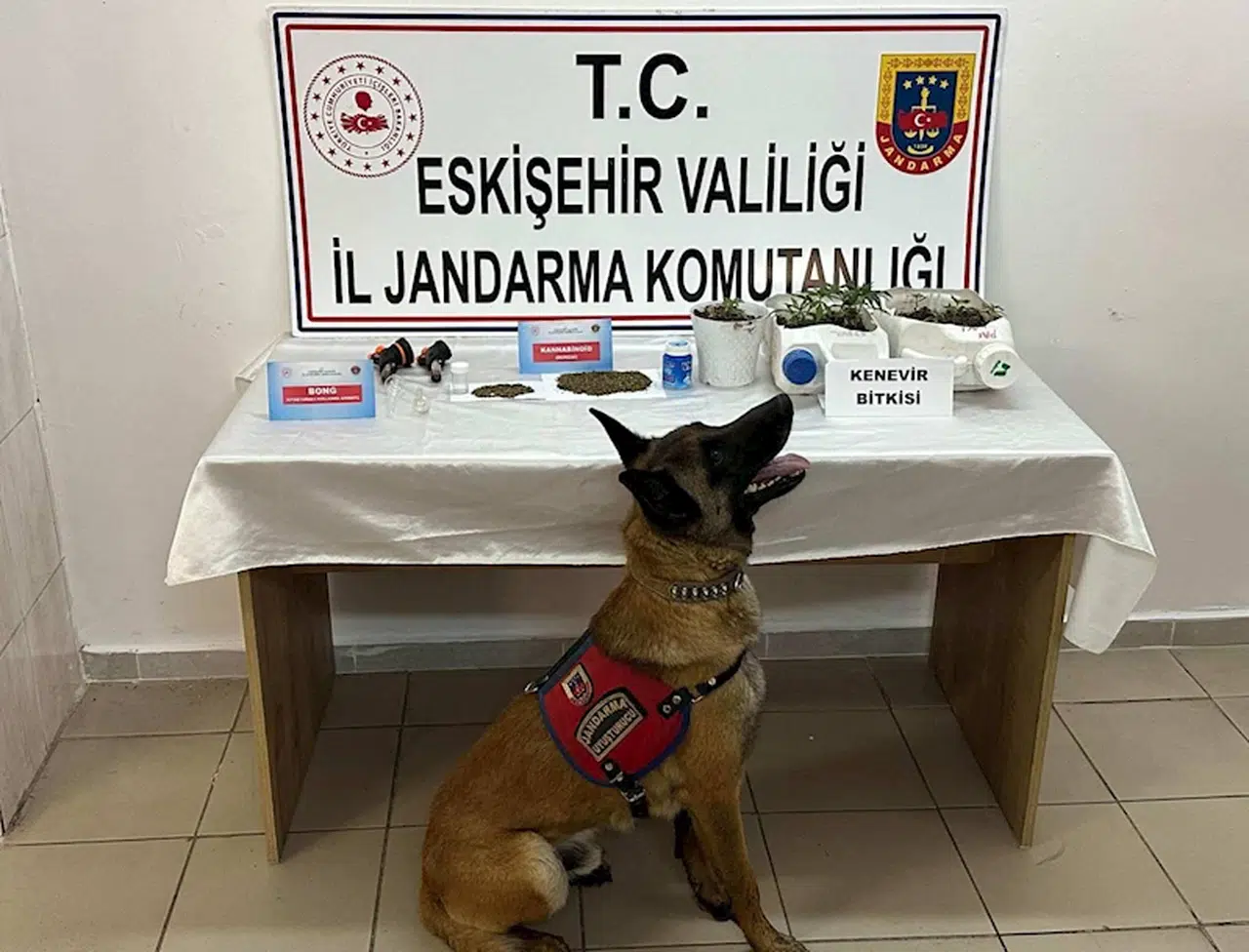 Evde uyuşturucu yetiştiren 2 şüpheli yakalandı