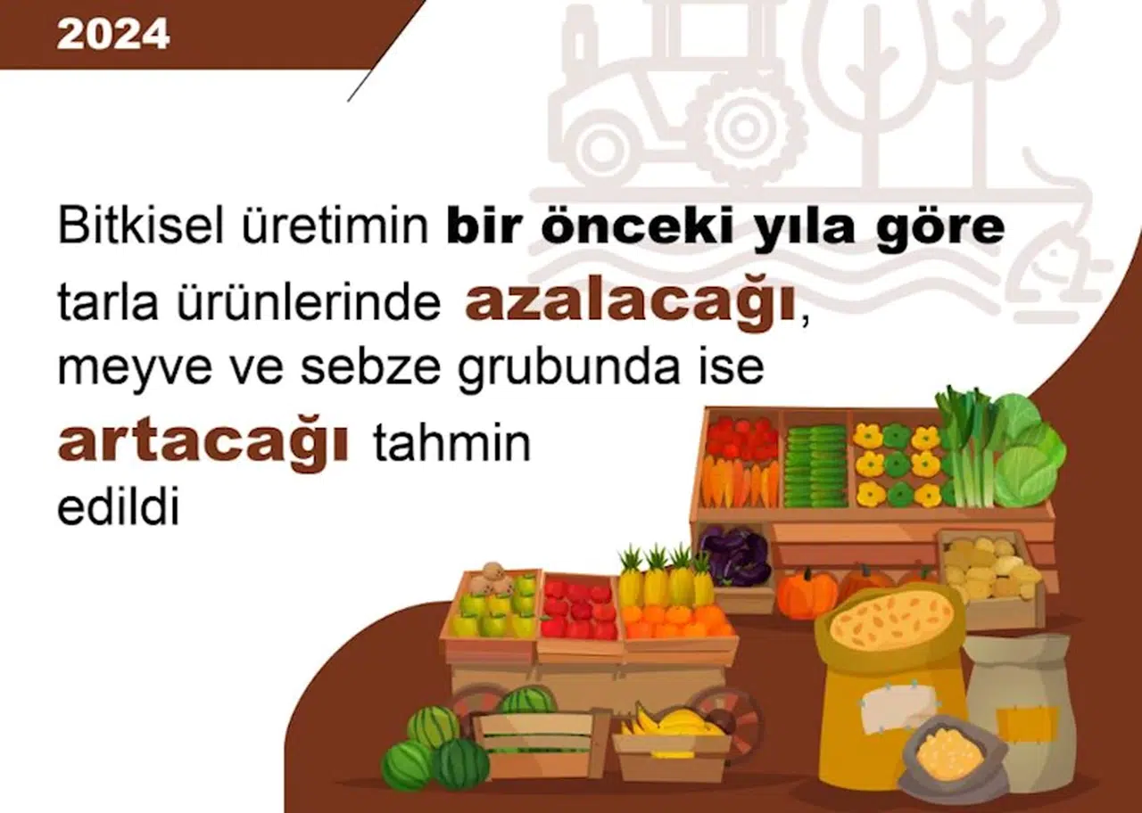 TÜİK: 2024'te tahıl üretiminde azalış, sebze ve meyve üretiminde artış öngörüldü