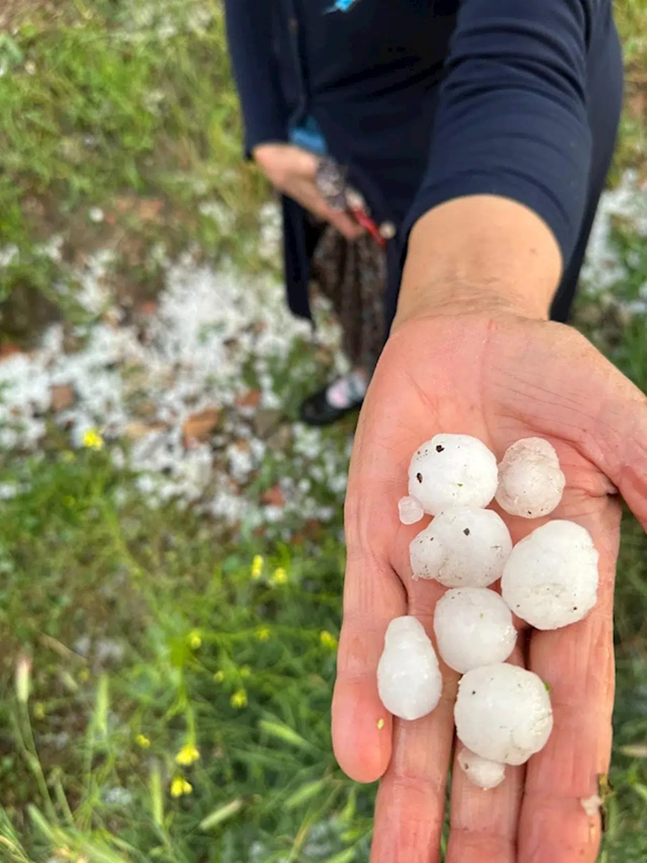 Bucak'ta dolu zararı 