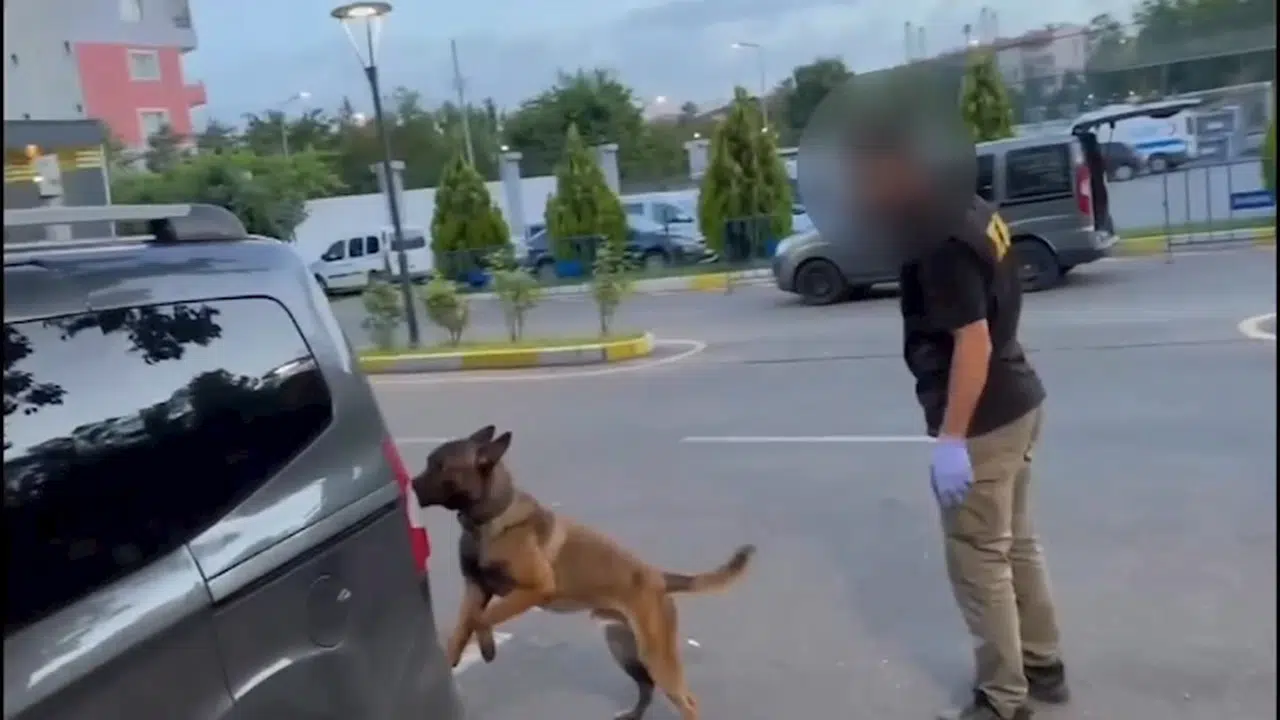 Batman'da 2 araçtaki 93 kilo 216 gram uyuşturucuyu 'Dead' buldu