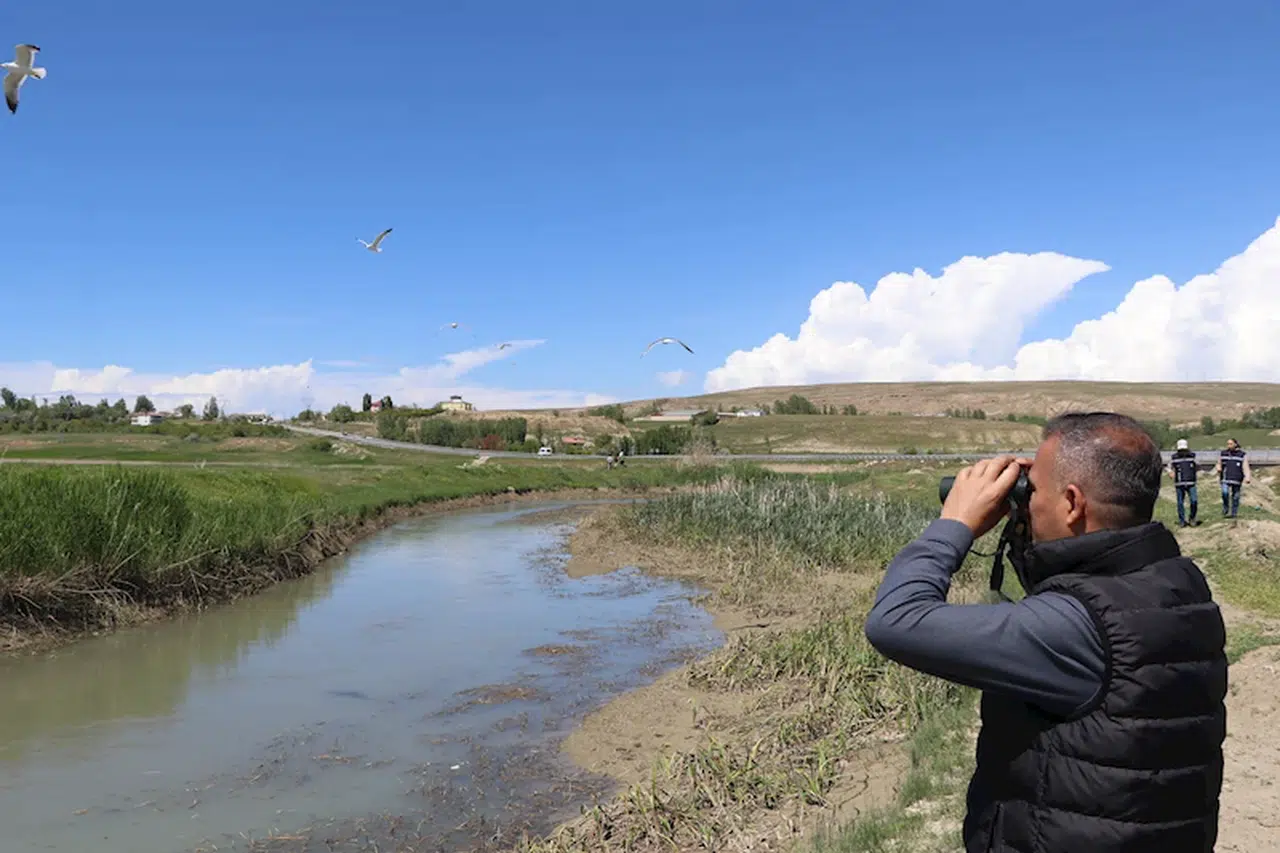Van'da ekipler kaçak avcılara göz açtırmıyor; 30 ton inci kefali ele geçirildi