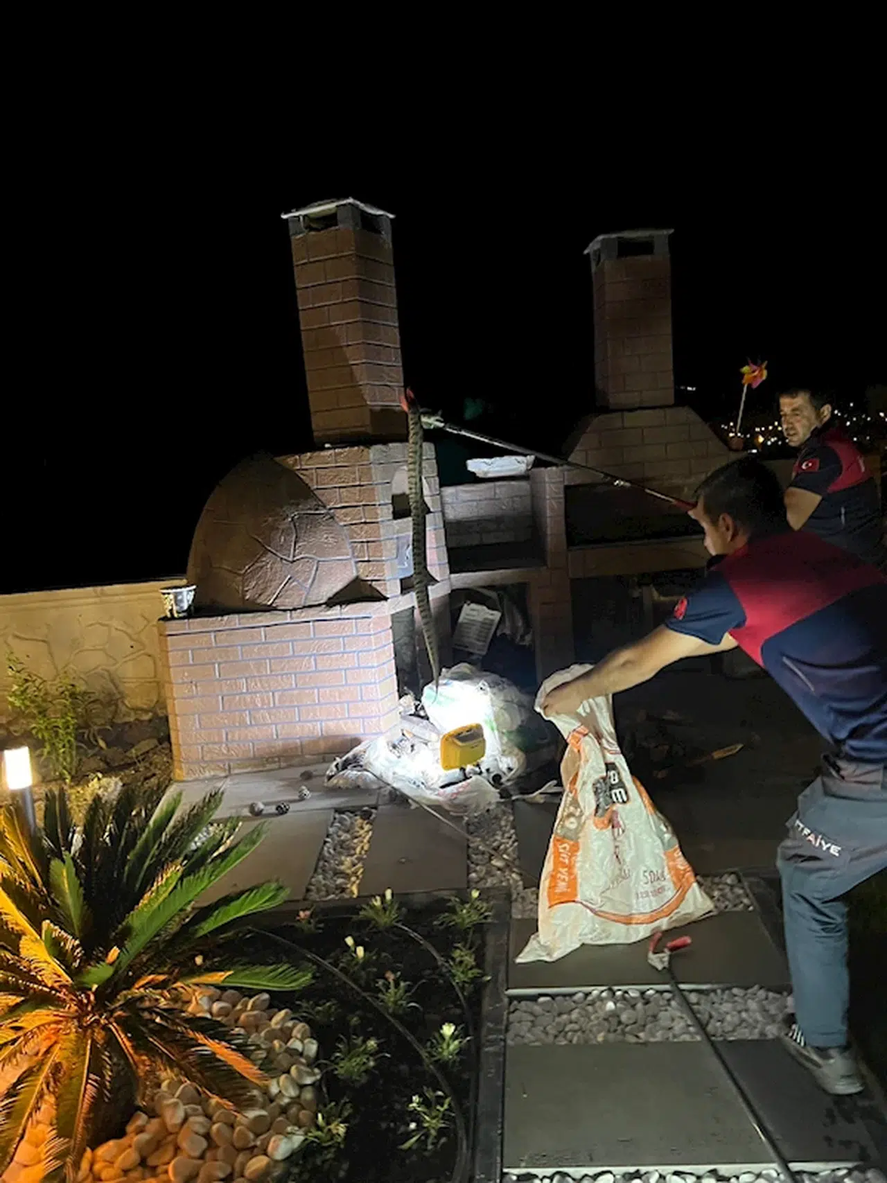 Osmaniye’de evin bahçesine giren yılan aparatla yakalanıp doğaya salındı 