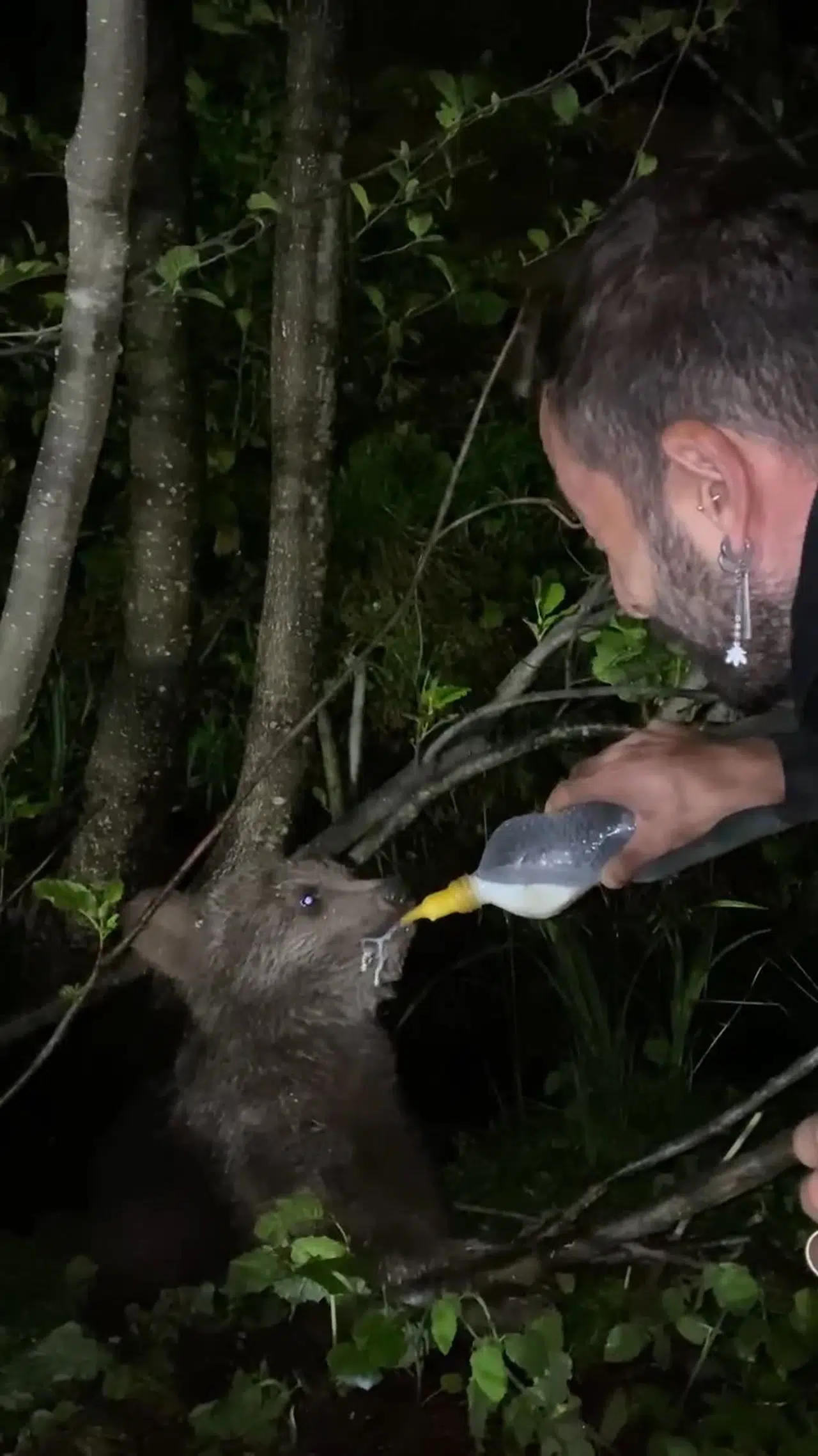 Rize'de yolda gördüğü yavru ayıyı biberonla besledi