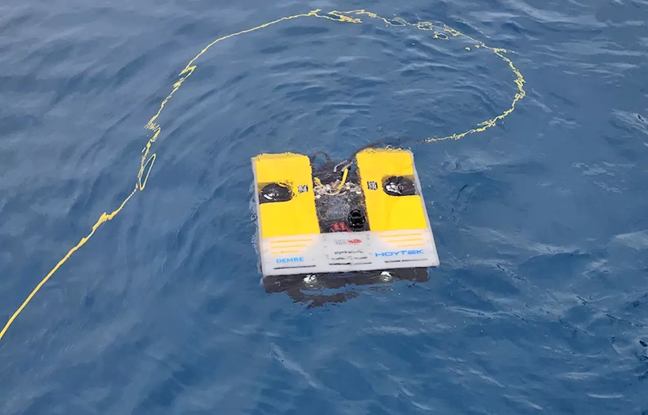 ANTALYA Su altının gözcüleri (VİDEO EKLENDİ) 