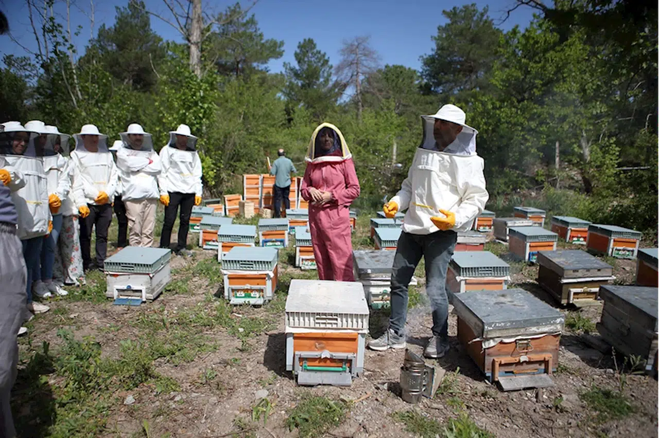 "Arıları Yaşat, Geleceğini Kazan Projesi" ile gençler meslek sahibi olacak