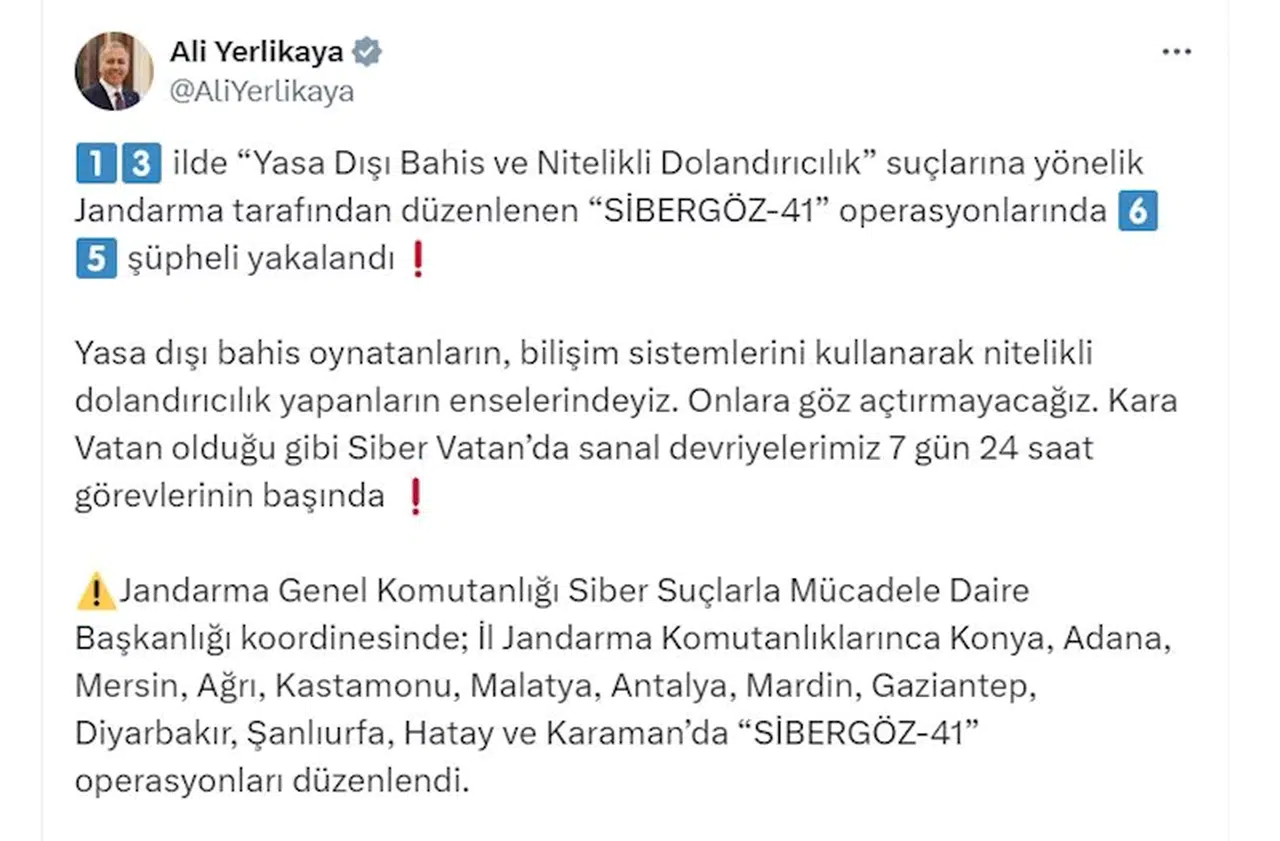13 ilde 'Sibergöz-41' operasyonu: 65 gözaltı