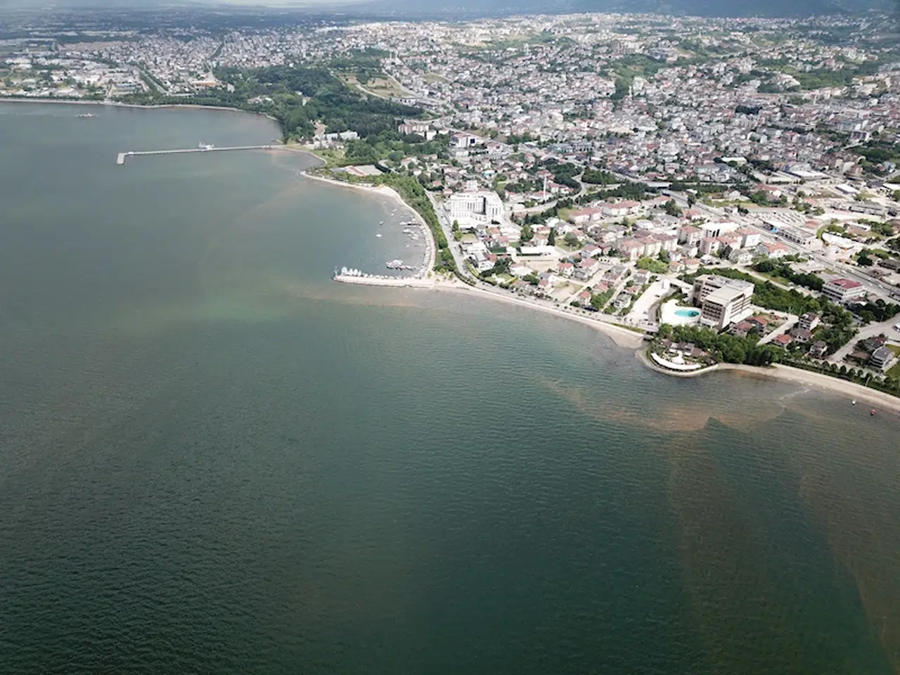 İzmit Körfezi'nde denizin rengi kahverengiye döndü