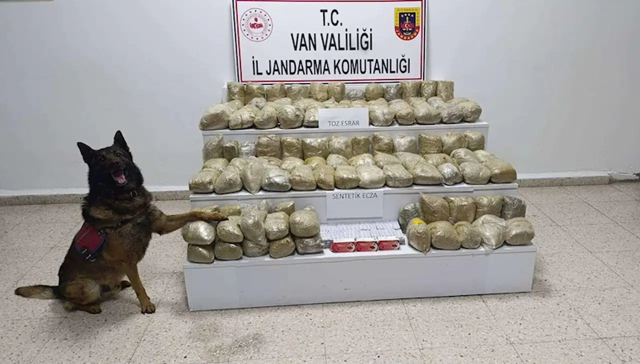 Van'da operasyonlarda 129 kilo uyuşturucu ele geçirildi: 7 tutuklama