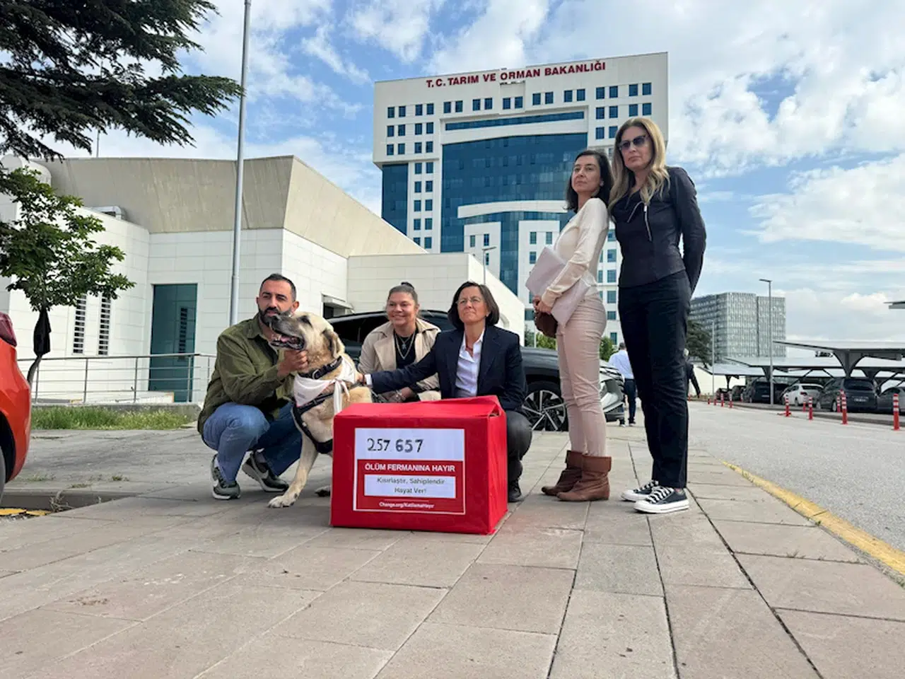 Hayvanseverlerden sokak köpekleri için bakanlığa 257 bin imza