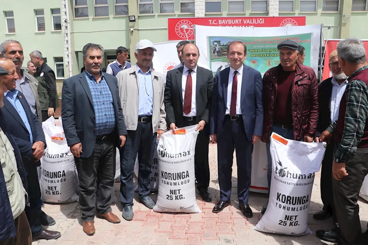 Bayburt'ta üreticilere 88 ton korunga tohumu desteği sağlandı