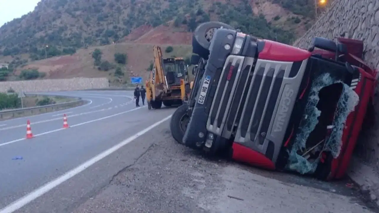 Devrilen tırın dorsesindeki 100 koyun öldü
