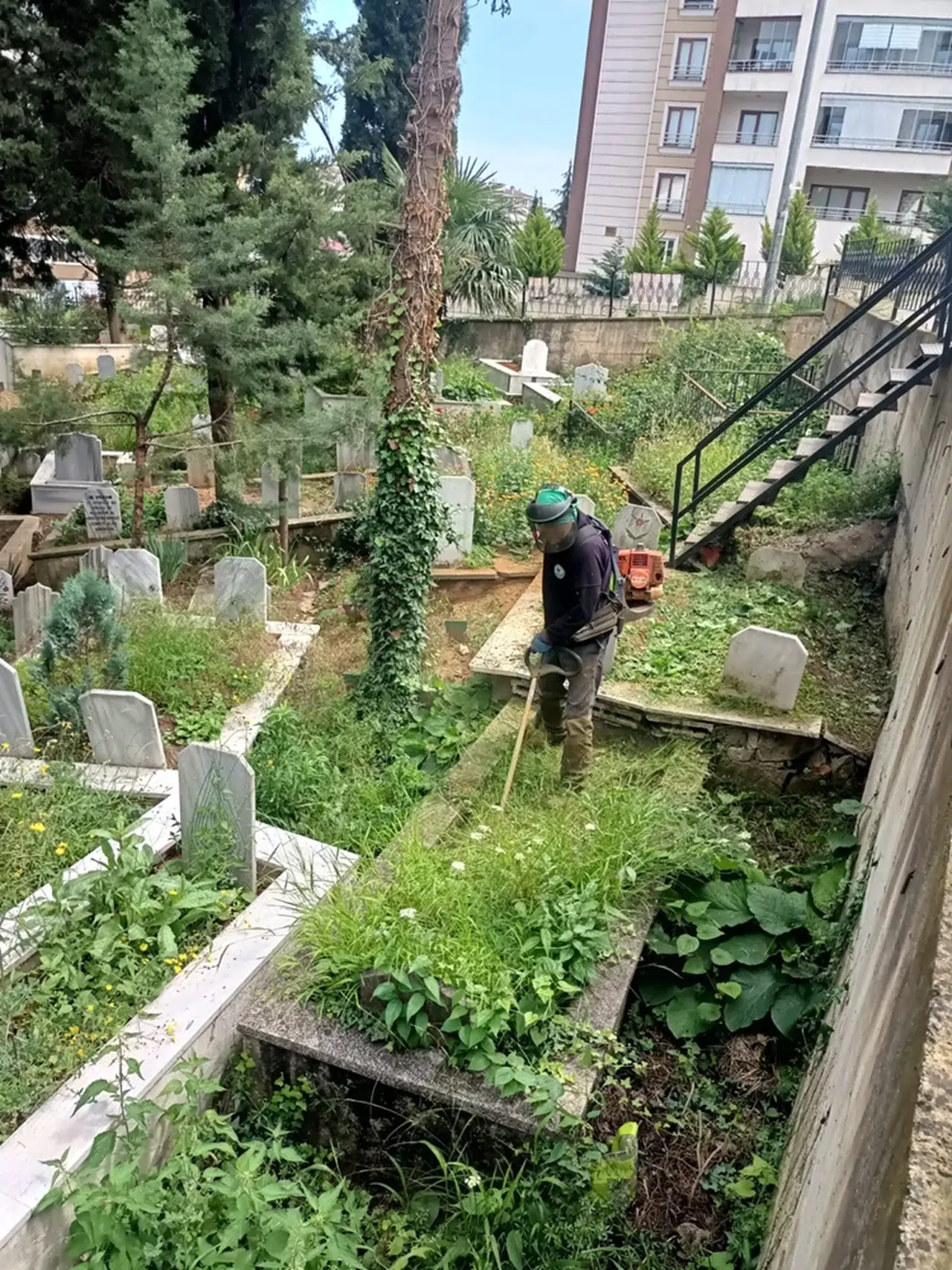Trabzon Büyükşehir Belediyesinde Kurban Bayramı öncesi çalışmaları sürüyor