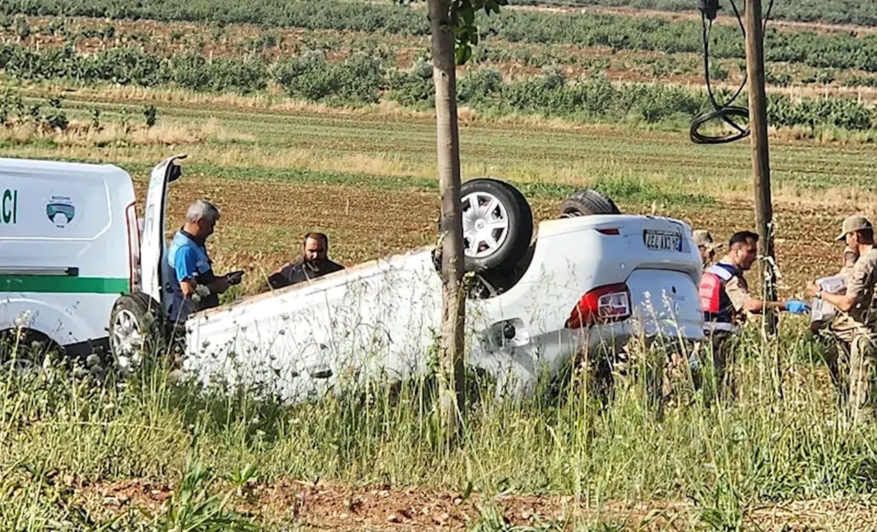 Şanlıurfa'da, takla atıp tarlaya devrilen otomobilin sürücüsü öldü
