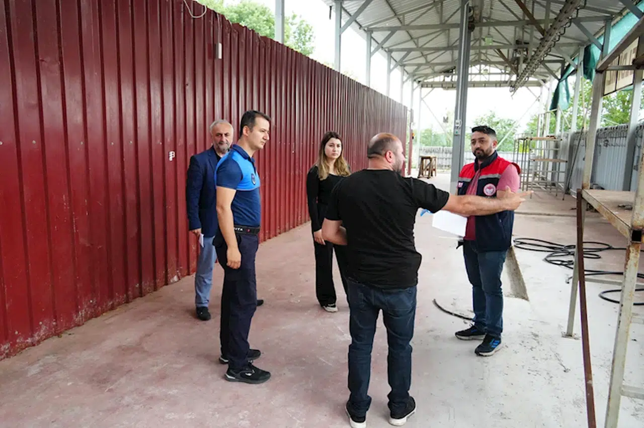 Düzce'de kurbanlık satış ve kesim yerleri denetleniyor