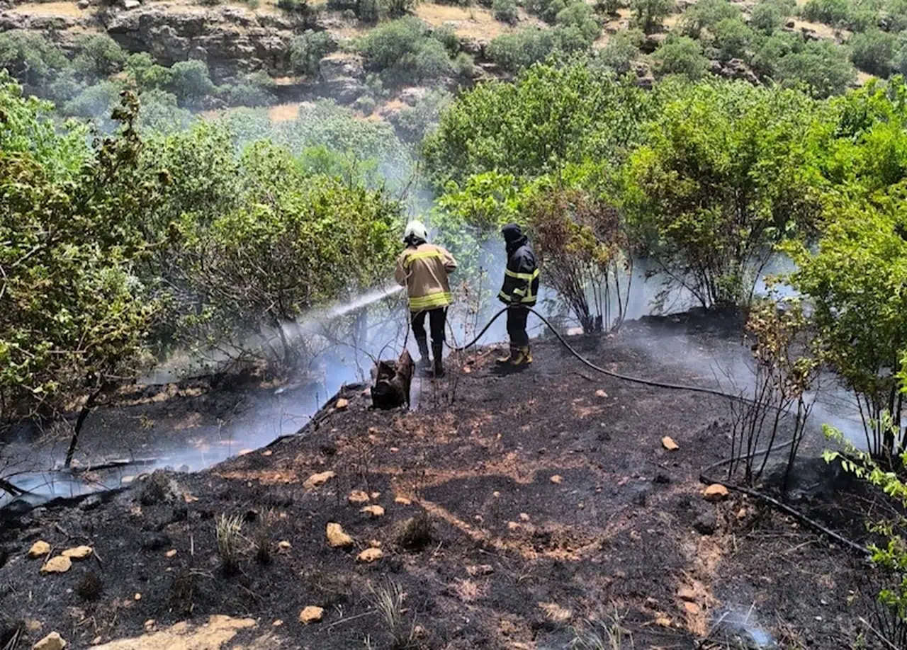 Mardin'de bahçede çıkan yangın ormana sıçradı