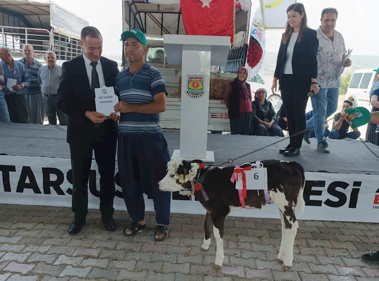 Mersin'de en güzel buzağı ‘Selvinaz’ 
