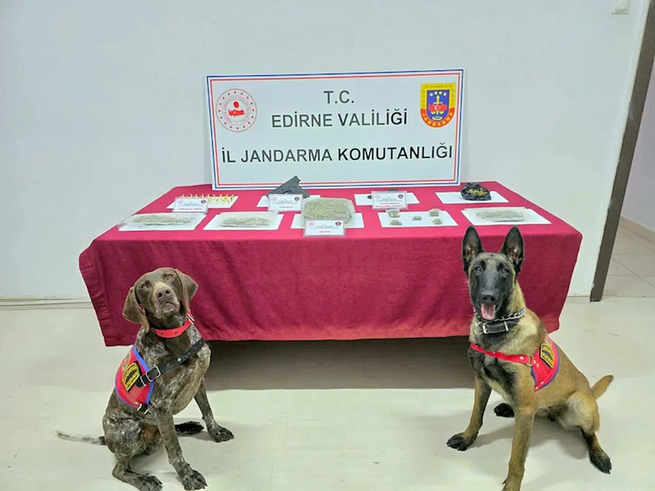 Edirne’de 500 gram skunk ele geçirildi 