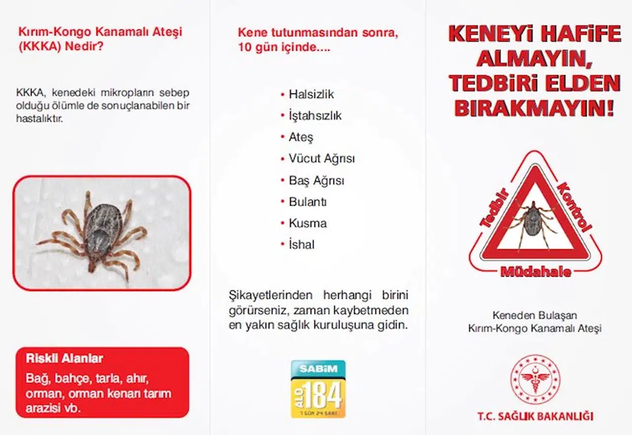 Giresun'da 5 ayda 7 KKKA tanısı görüldü; 1 kişi öldü