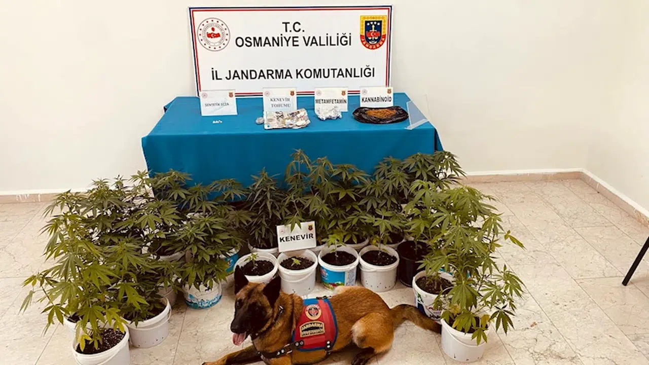 Uyuşturucu ve kaçakçılık operasyonuna 2 tutuklama