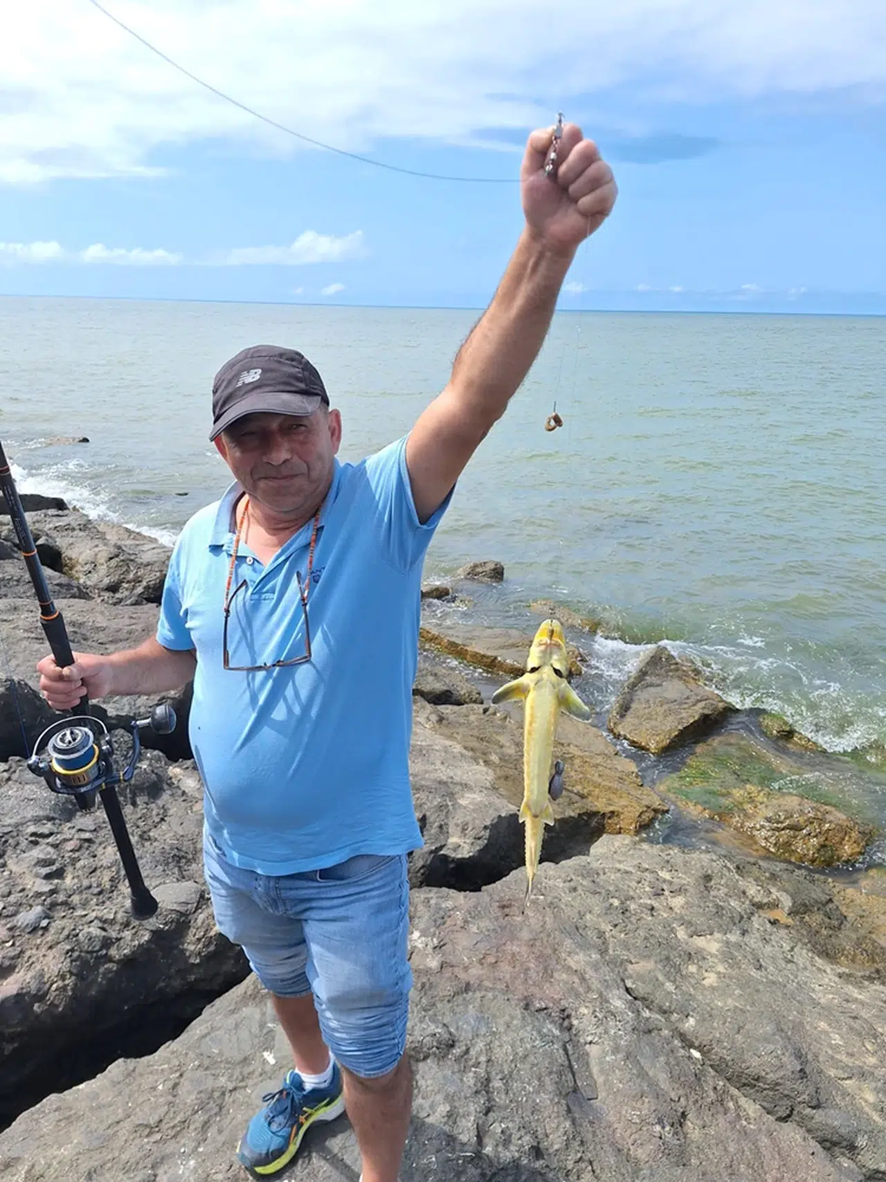 Giresun'da amatör balıkçı, oltasına takılan karaca mersin balığını yeniden denize bıraktı