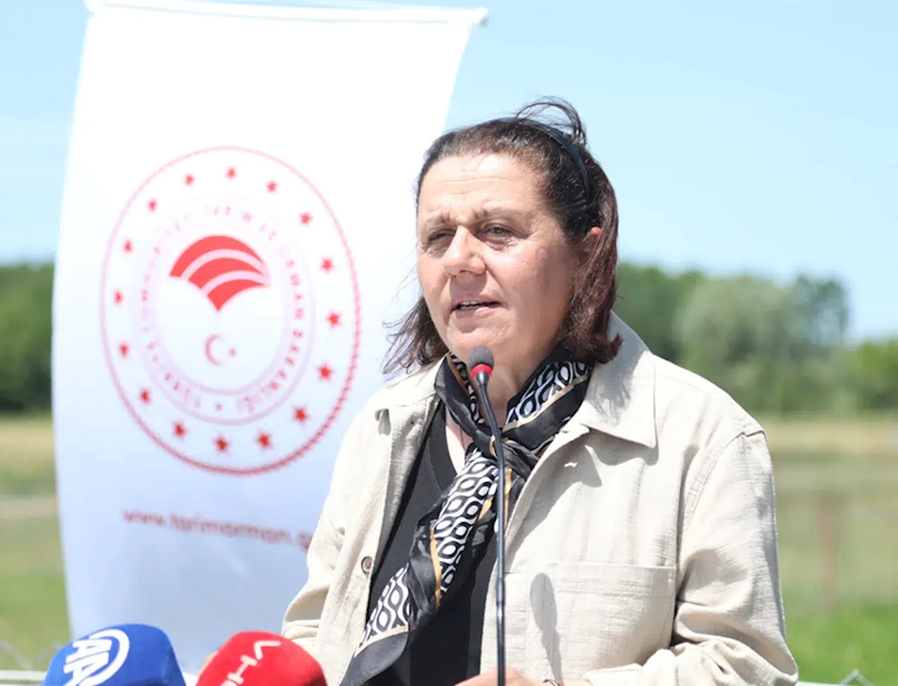 Samsun'da 8 farklı bitki çeşidinin ekildiği merada kuzu kilogramında artış sağlandı 