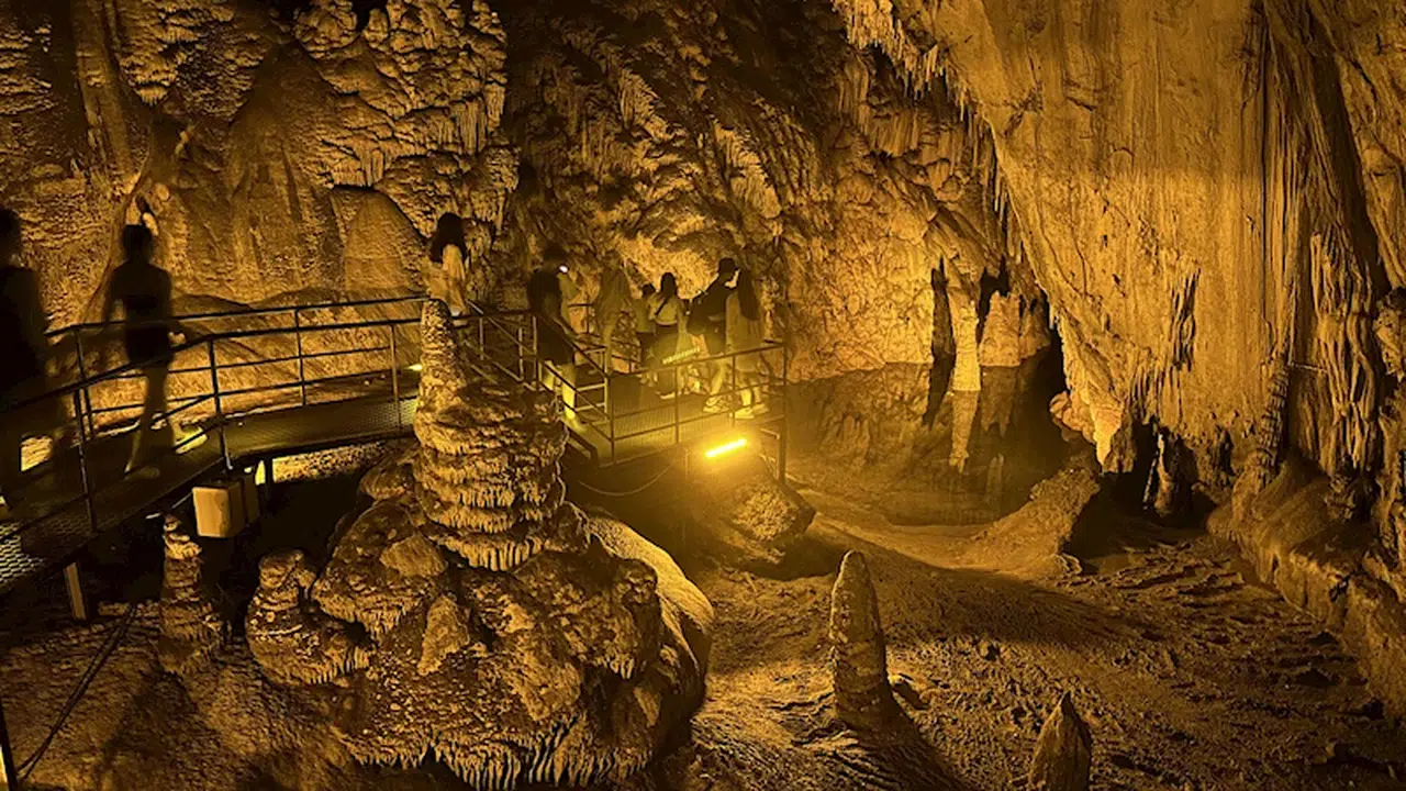 AGC'den DHA muhabirine ödül