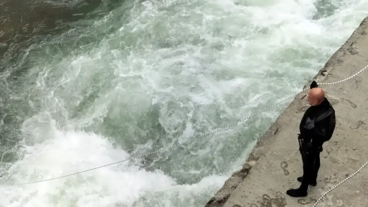 Arhavi Belediyesi'nin Mahsur Kalan Köpeği Kurtarma Çalışması Takdire Şayan