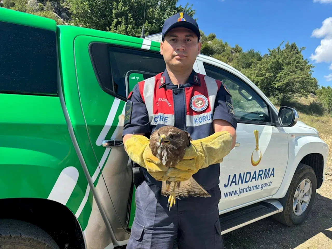 Yaralı kızıl şahin tedaviye alındı