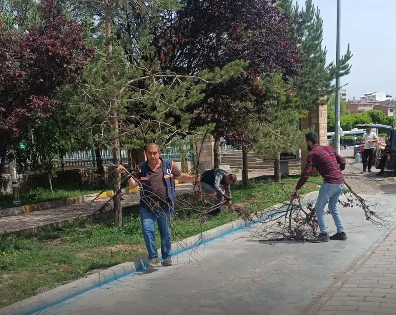 Oltu'da Bahara Hazırlık Kapsamında Yürüyüş Yolu Budandı ve Temizlendi