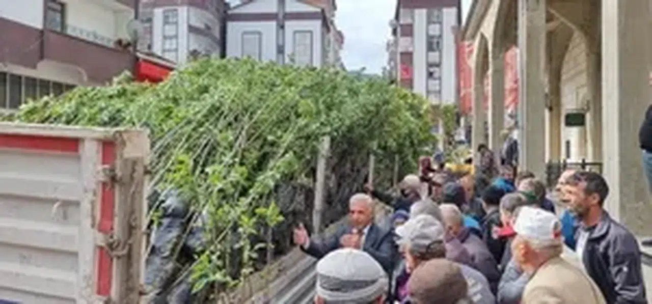 Çaykara'da vatandaşlara 5 bin meyve fidanı dağıtıldı