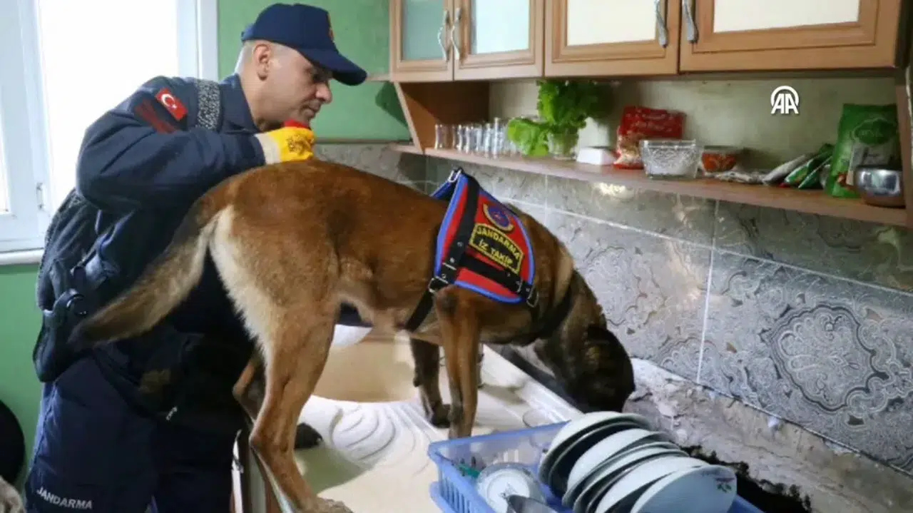 Rize'de 11 suçtan aranan hükümlü mutfak tezgahının altındaki gizli bölmede yakalandı